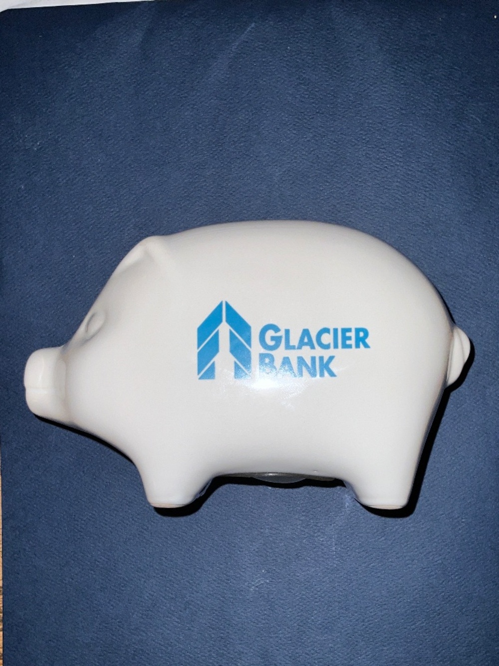 Glacier Bank Ceramic Piggy Bank
